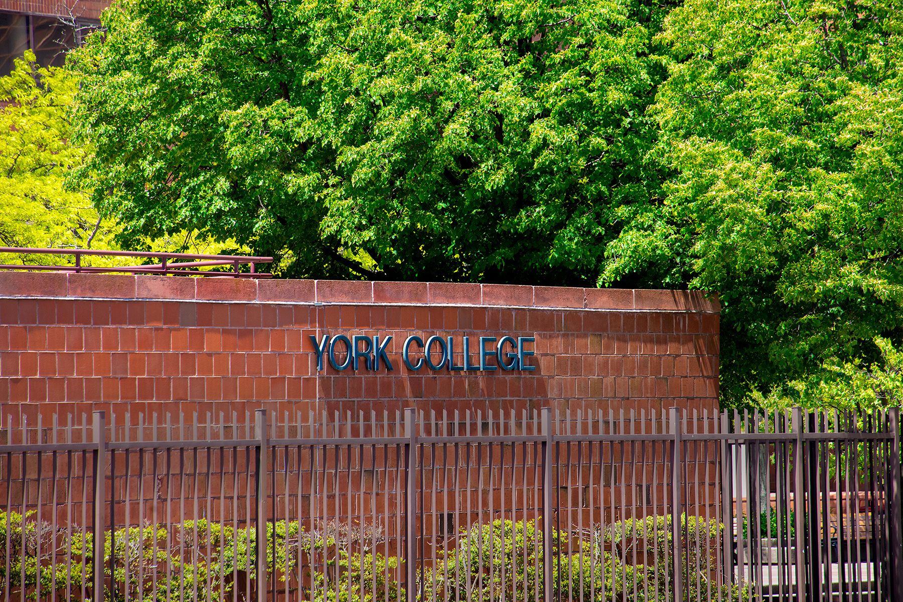 York College building